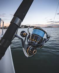 Daiwa Saltiga G Spinning Reel 8000-14000 sizes