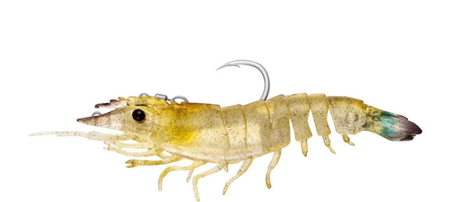 Sumo Shrimp Rigged