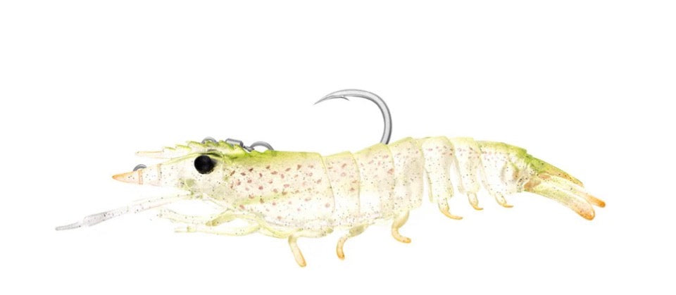 Sumo Shrimp Rigged