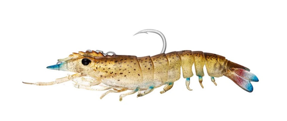 Sumo Shrimp Rigged