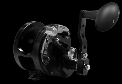 Avet HX Series (With and Without MC)