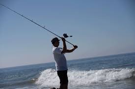 Daiwa Eliminator