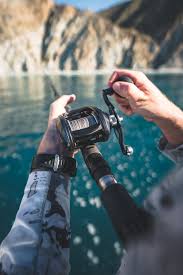 Daiwa Lexa HD 500